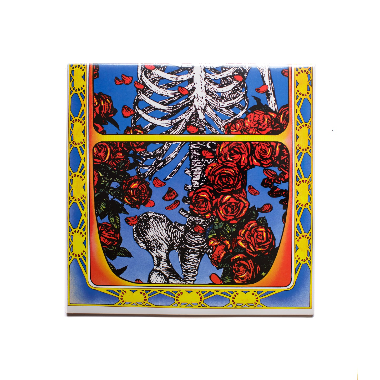 Back cover of Grateful Dead 50th Anniversary LP showing live performance photo, tracklist, and remaster details.
