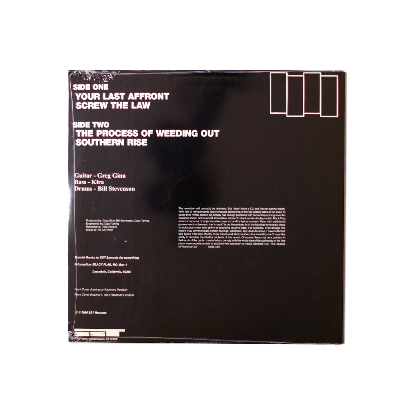 Black Flag – The Process Of Weeding Out