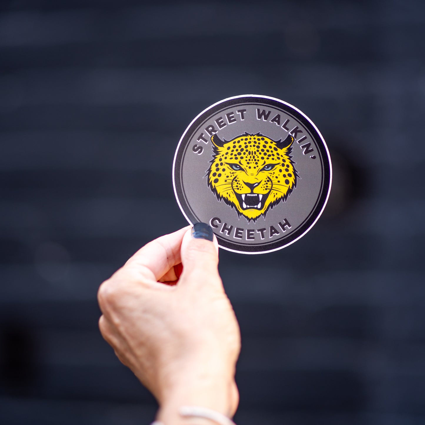 3.5-inch round black vinyl sticker featuring a cheetah in the center — inspired by The Stooges’ “Search and Destroy” lyric — matte, waterproof, and UV coated. Photographed against a brick wall.